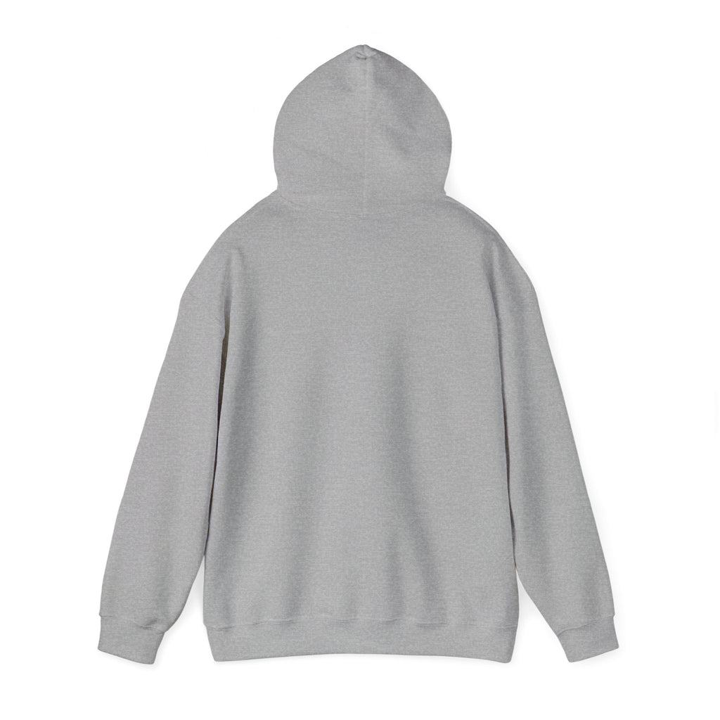 Mom's Unisex Hooded Sweatshirt – Mother of Boys Design