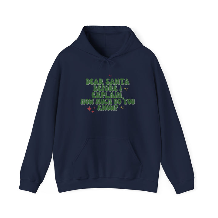 Dear Santa Funny Unisex Hooded Sweatshirt - Holiday Gift