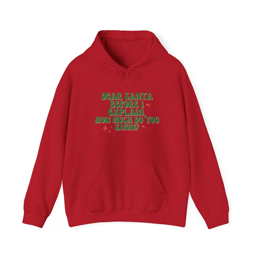 Dear Santa Funny Unisex Hooded Sweatshirt - Holiday Gift