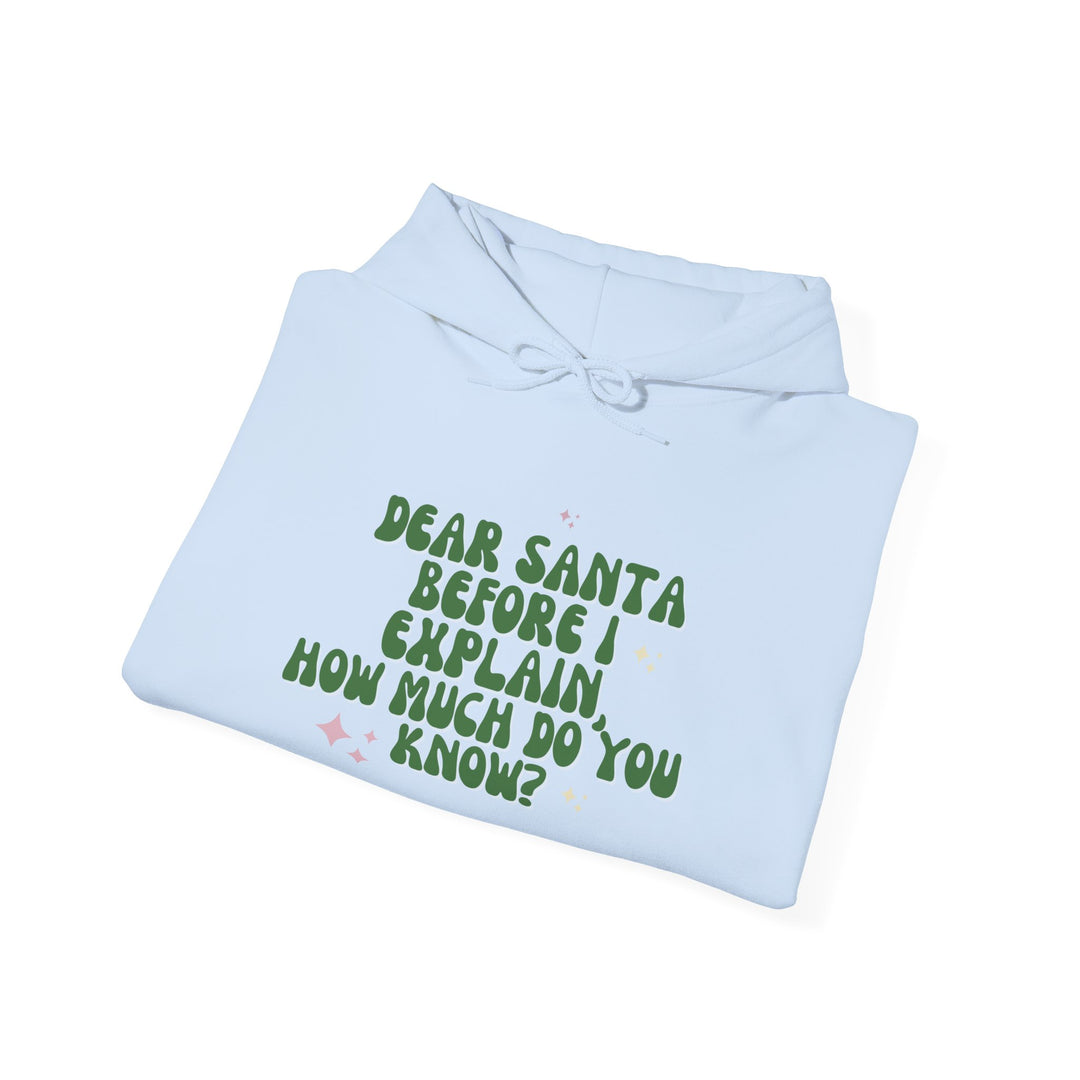 Dear Santa Funny Unisex Hooded Sweatshirt - Holiday Gift