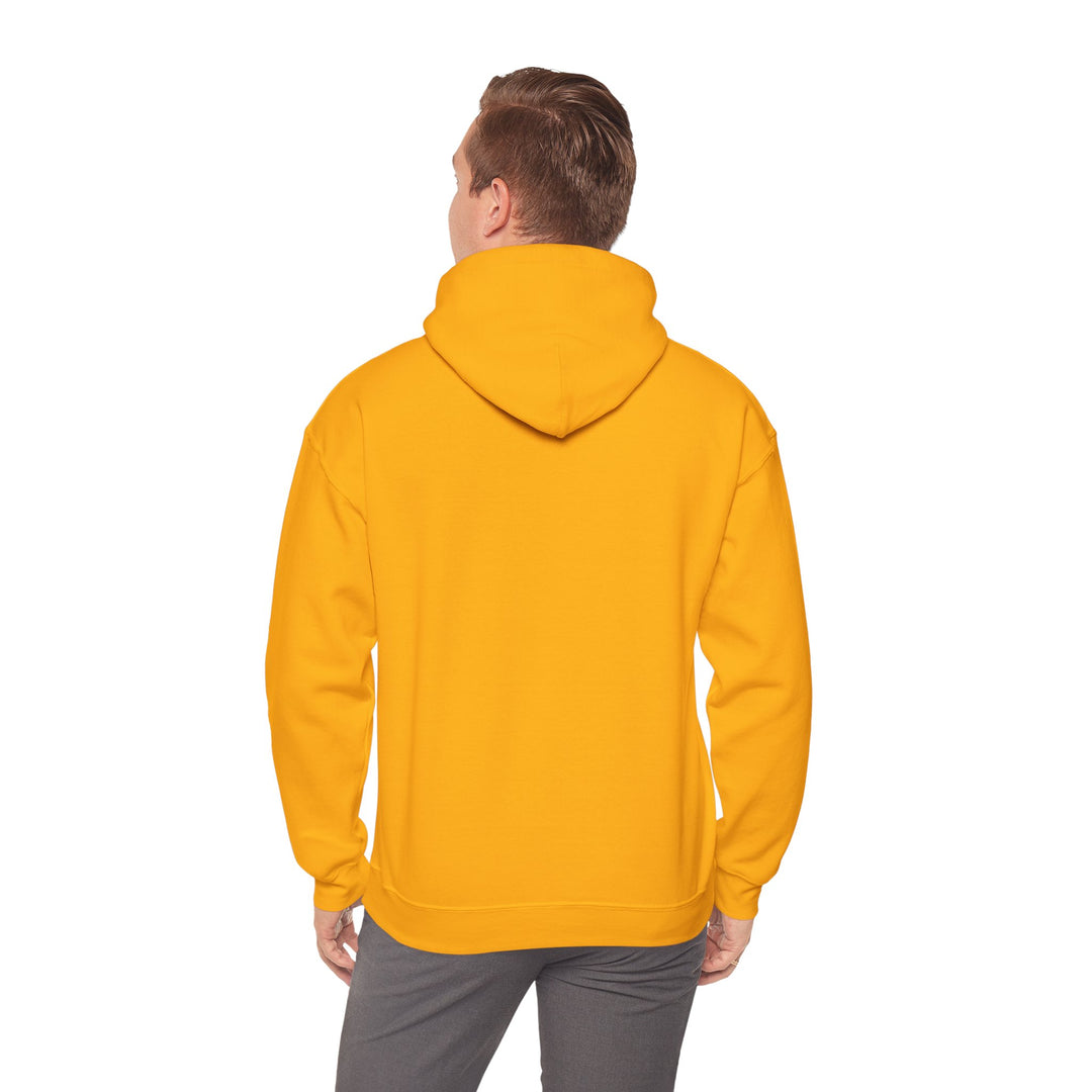 Dad’s Hooded Sweatshirt – Dad Level Unlocked Design