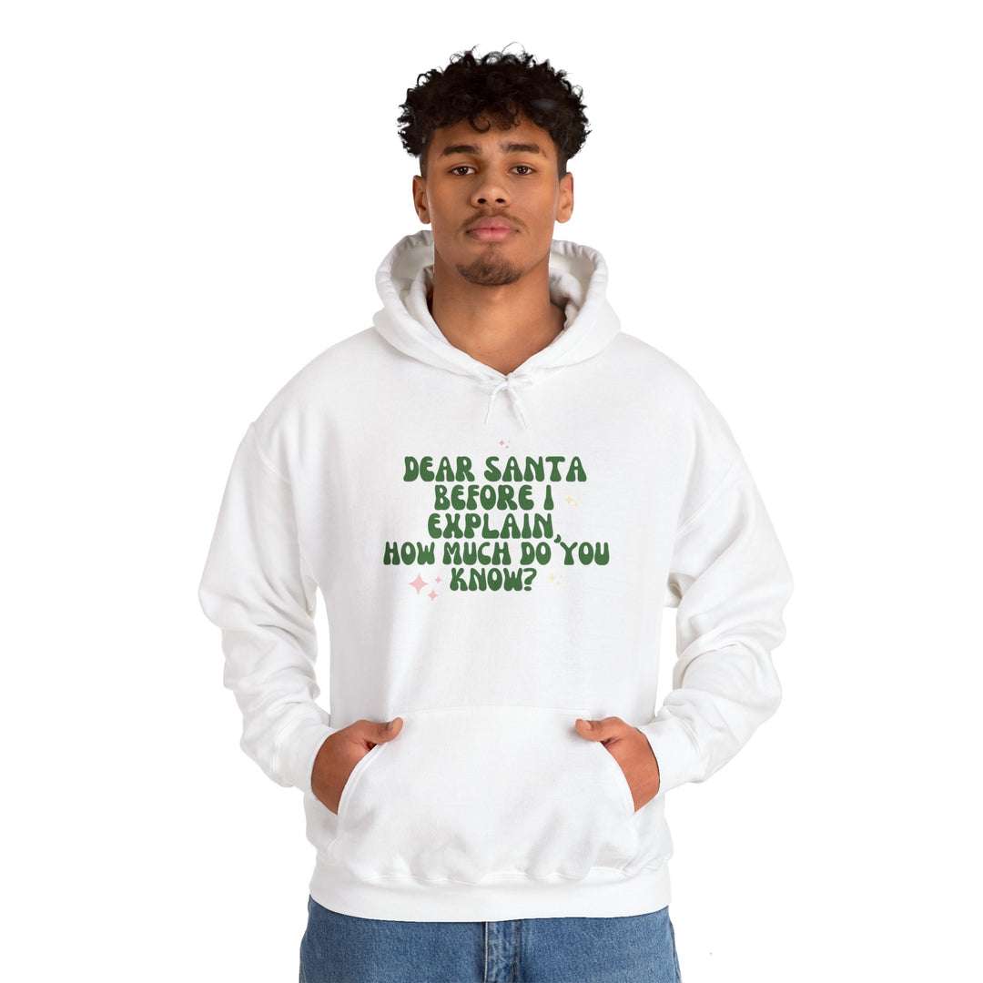 Dear Santa Funny Unisex Hooded Sweatshirt - Holiday Gift