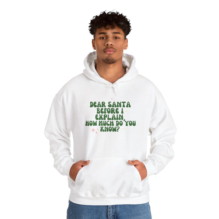 Dear Santa Funny Unisex Hooded Sweatshirt - Holiday Gift