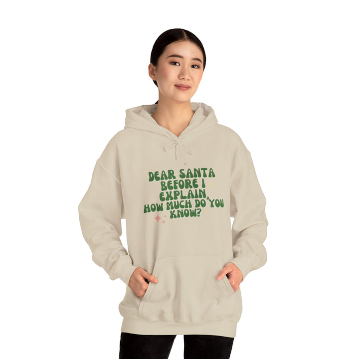 Dear Santa Funny Unisex Hooded Sweatshirt - Holiday Gift