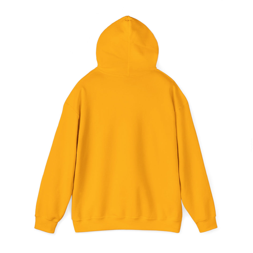 Dad’s Hooded Sweatshirt – Dad Level Unlocked Design