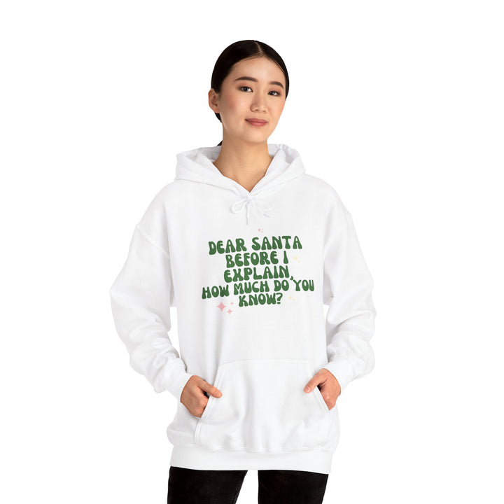 Dear Santa Funny Unisex Hooded Sweatshirt - Holiday Gift