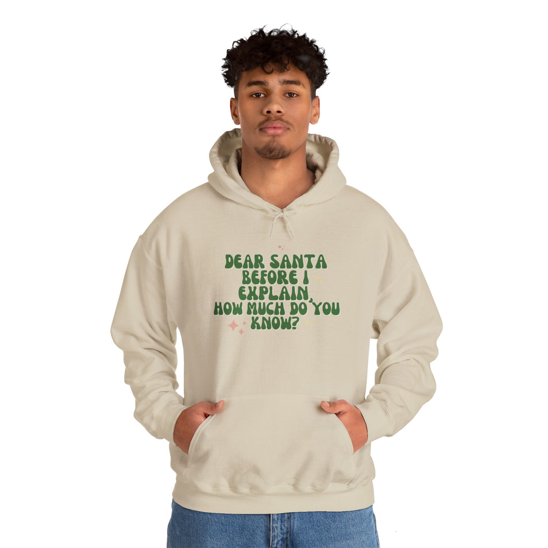 Dear Santa Funny Unisex Hooded Sweatshirt - Holiday Gift