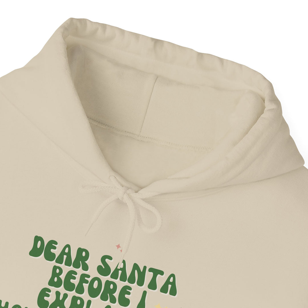 Dear Santa Funny Unisex Hooded Sweatshirt - Holiday Gift