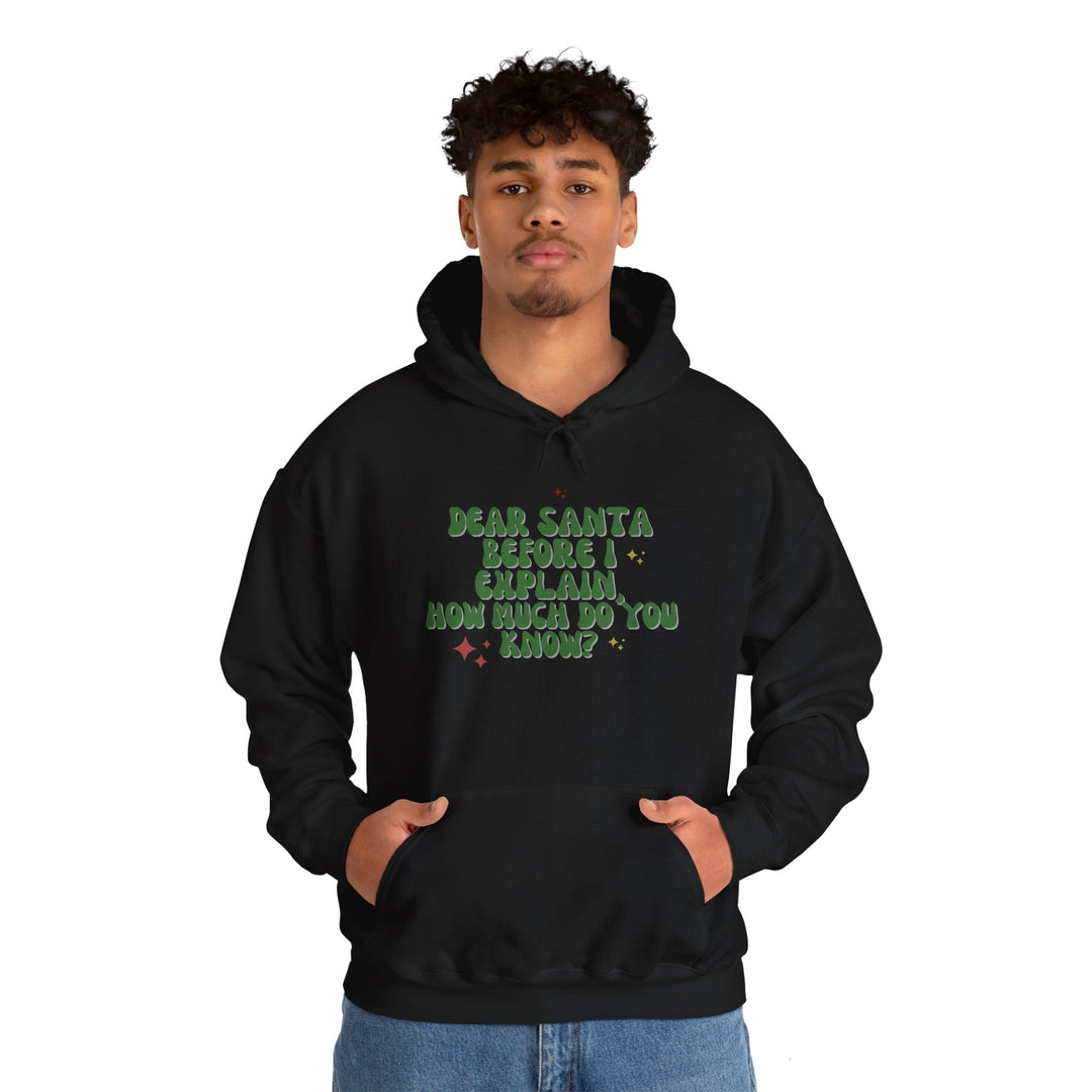 Dear Santa Funny Unisex Hooded Sweatshirt - Holiday Gift