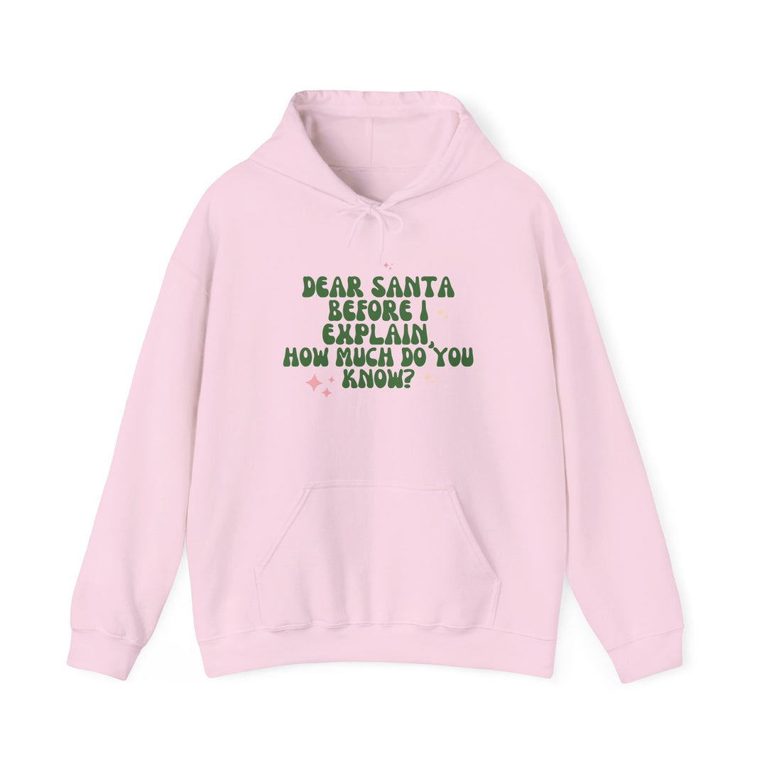 Dear Santa Funny Unisex Hooded Sweatshirt - Holiday Gift