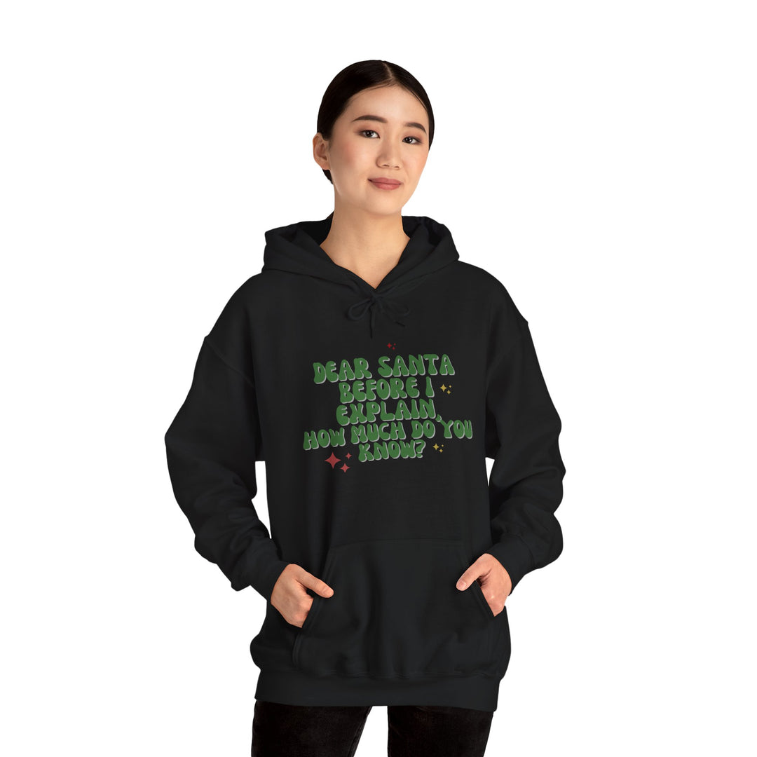 Dear Santa Funny Unisex Hooded Sweatshirt - Holiday Gift