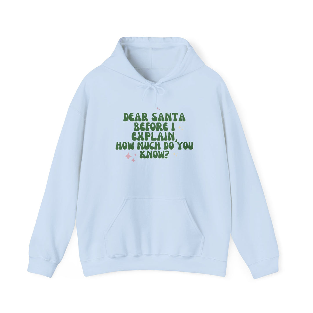 Dear Santa Funny Unisex Hooded Sweatshirt - Holiday Gift