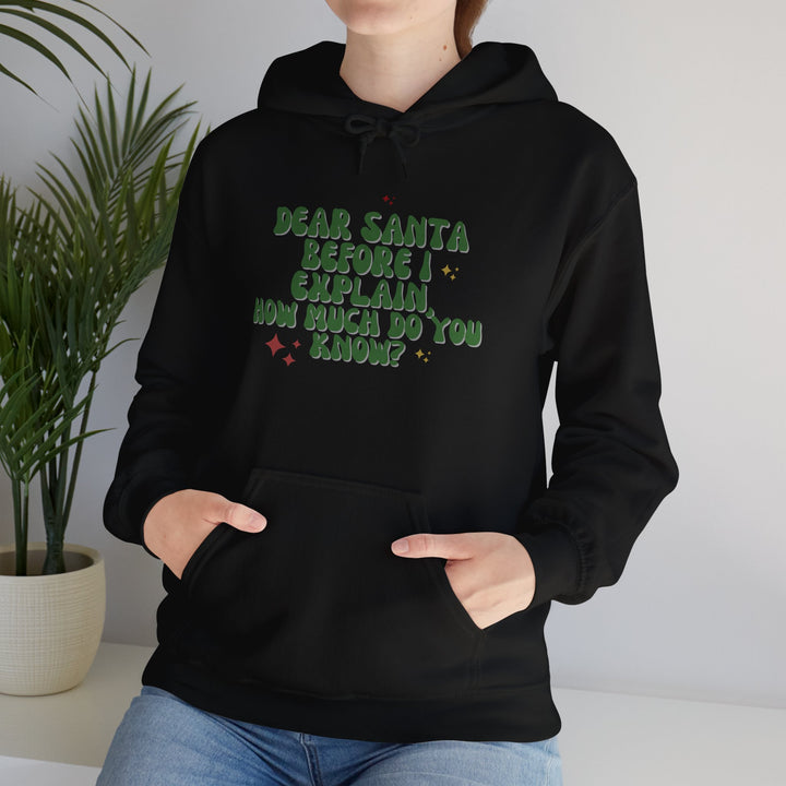 Dear Santa Funny Unisex Hooded Sweatshirt - Holiday Gift