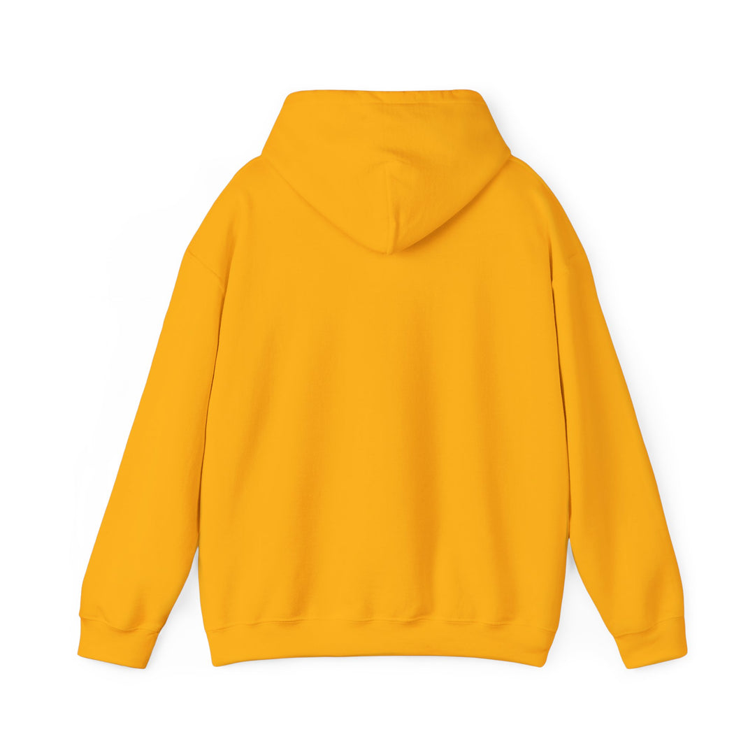 Dad’s Hooded Sweatshirt – Dad Level Unlocked Design