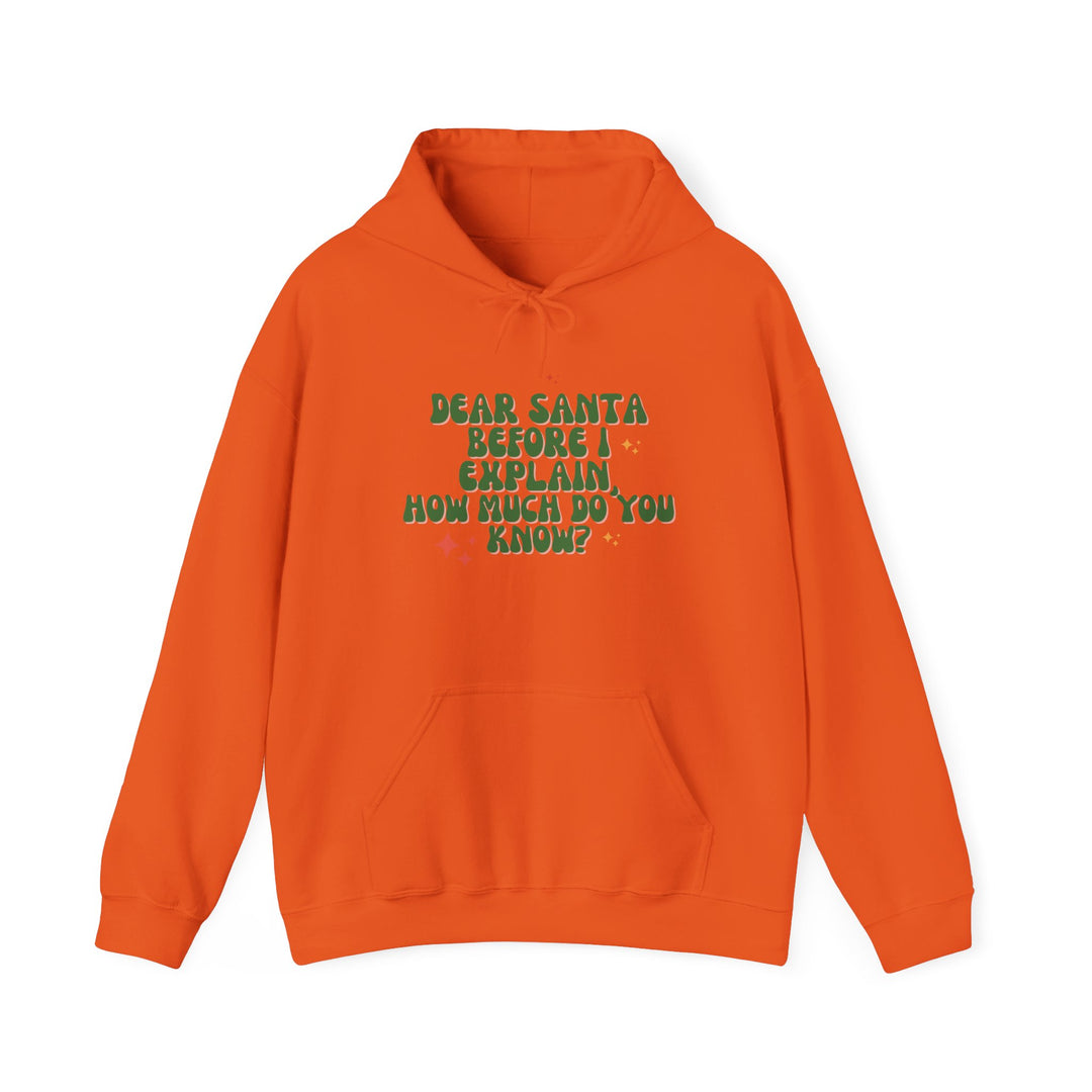 Dear Santa Funny Unisex Hooded Sweatshirt - Holiday Gift