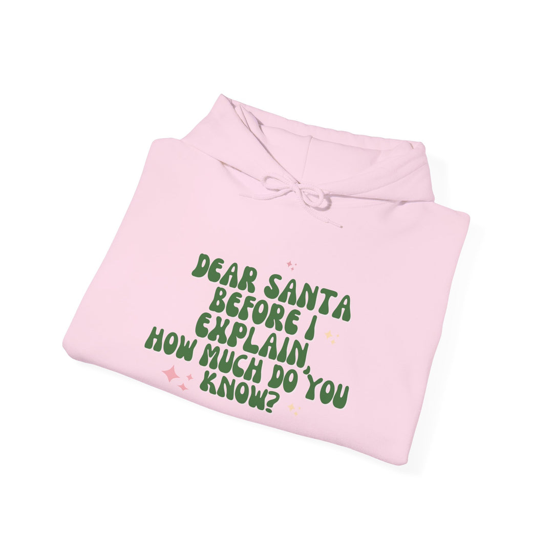 Dear Santa Funny Unisex Hooded Sweatshirt - Holiday Gift