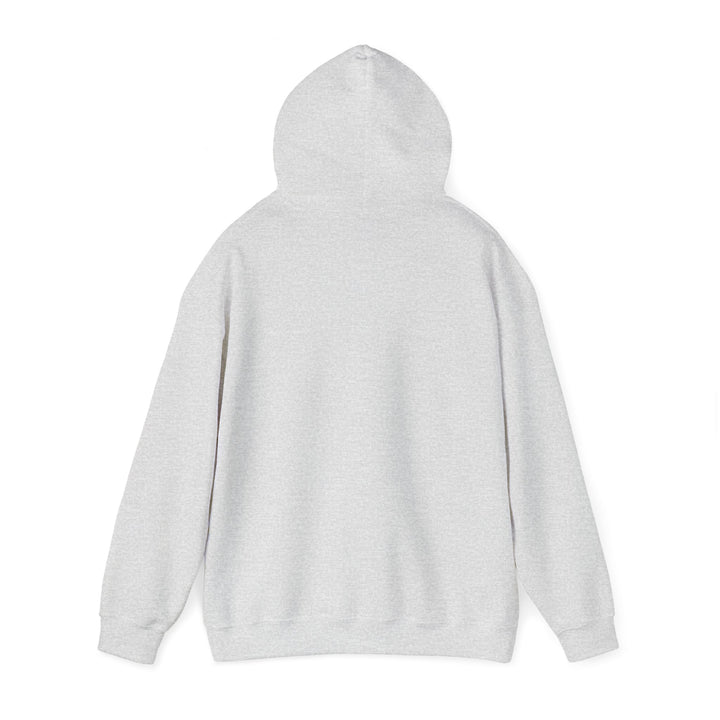 Mom's Unisex Hooded Sweatshirt – Mother of Boys Design