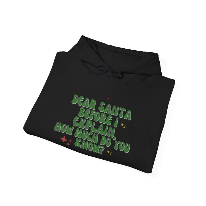 Dear Santa Funny Unisex Hooded Sweatshirt - Holiday Gift