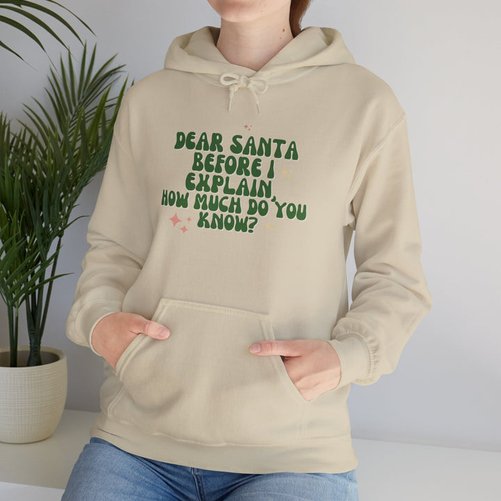 Dear Santa Funny Unisex Hooded Sweatshirt - Holiday Gift