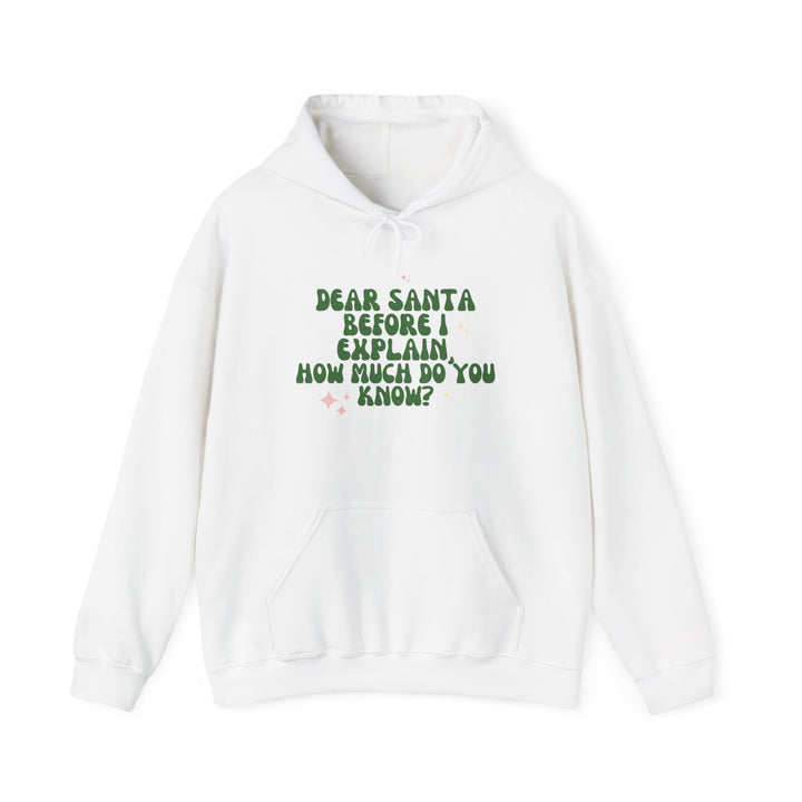 Dear Santa Funny Unisex Hooded Sweatshirt - Holiday Gift