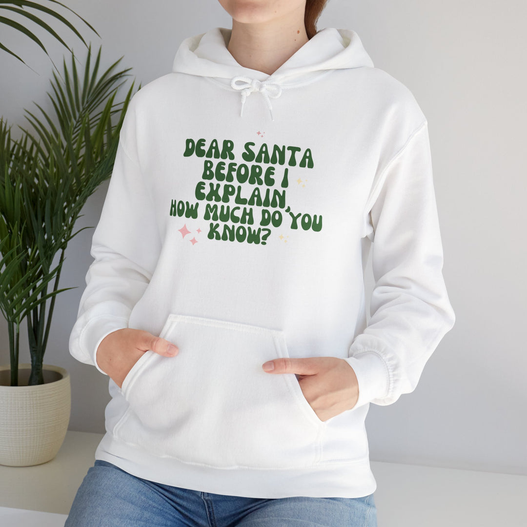 Dear Santa Funny Unisex Hooded Sweatshirt - Holiday Gift