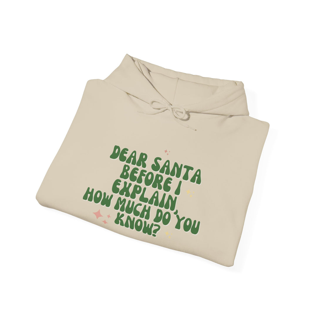 Dear Santa Funny Unisex Hooded Sweatshirt - Holiday Gift