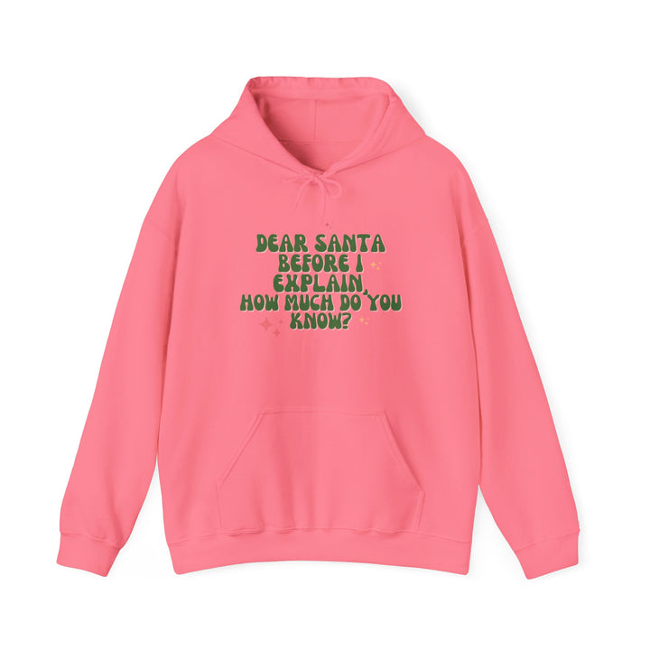 Dear Santa Funny Unisex Hooded Sweatshirt - Holiday Gift