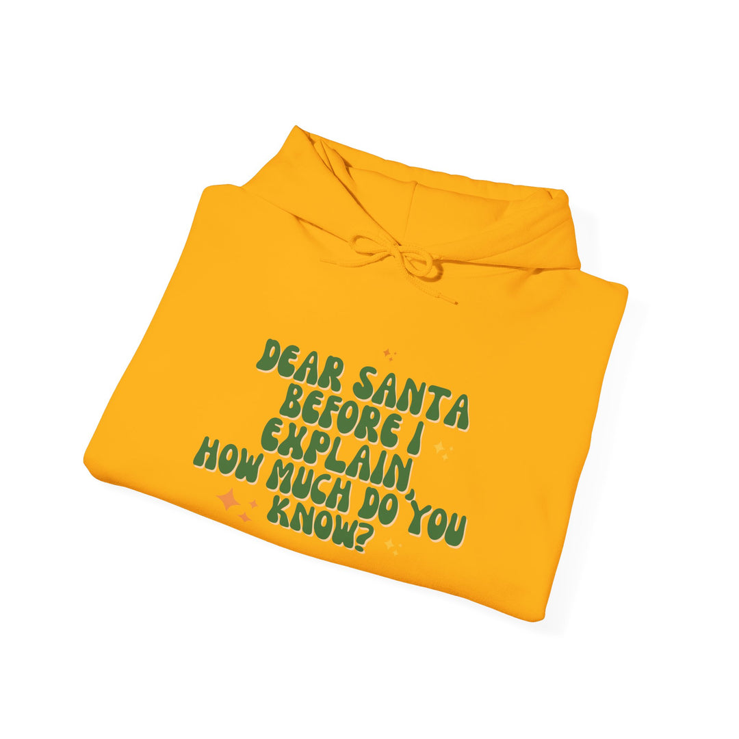 Dear Santa Funny Unisex Hooded Sweatshirt - Holiday Gift