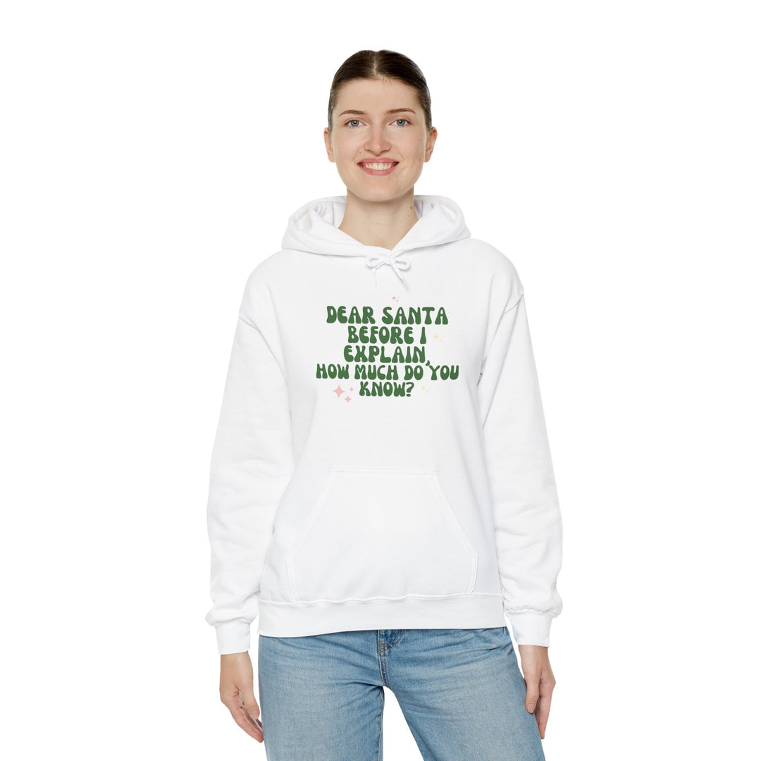 Dear Santa Funny Unisex Hooded Sweatshirt - Holiday Gift