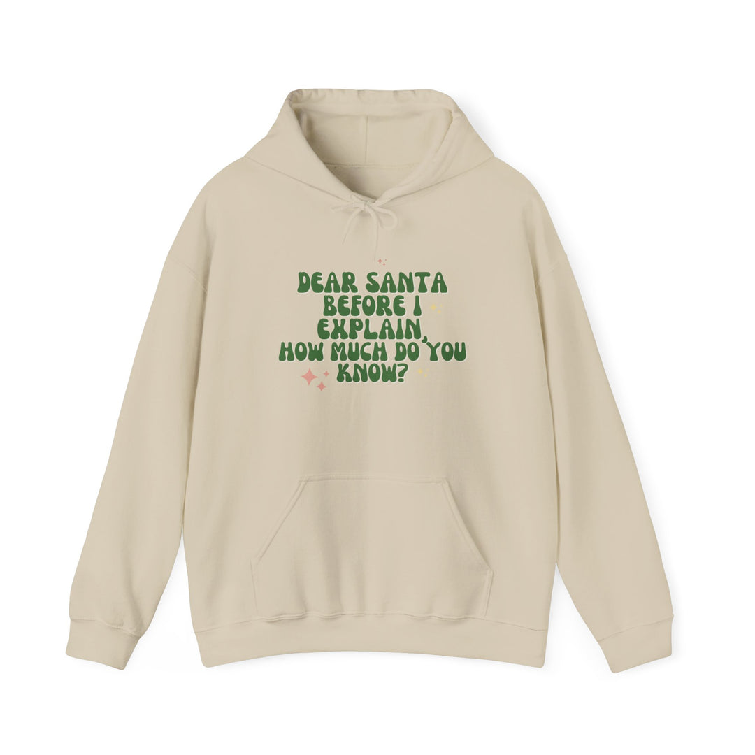 Dear Santa Funny Unisex Hooded Sweatshirt - Holiday Gift