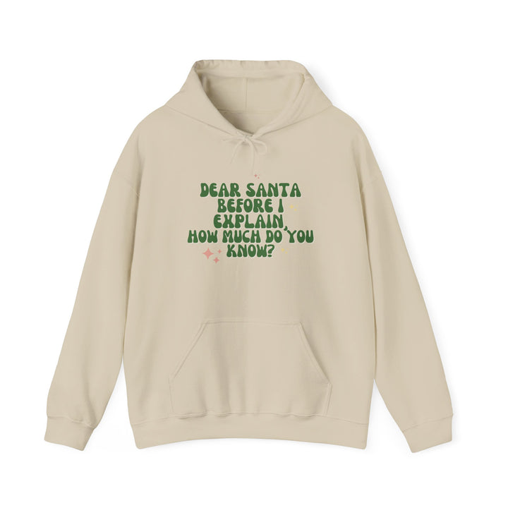 Dear Santa Funny Unisex Hooded Sweatshirt - Holiday Gift