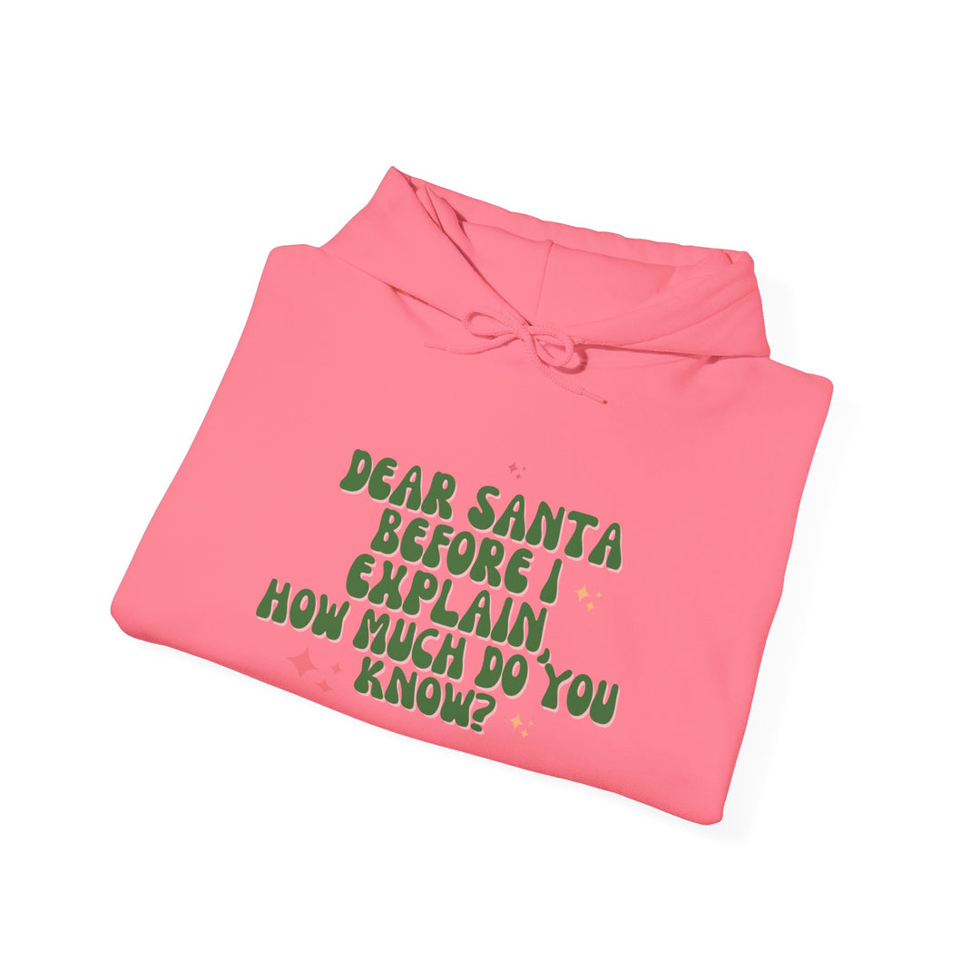 Dear Santa Funny Unisex Hooded Sweatshirt - Holiday Gift