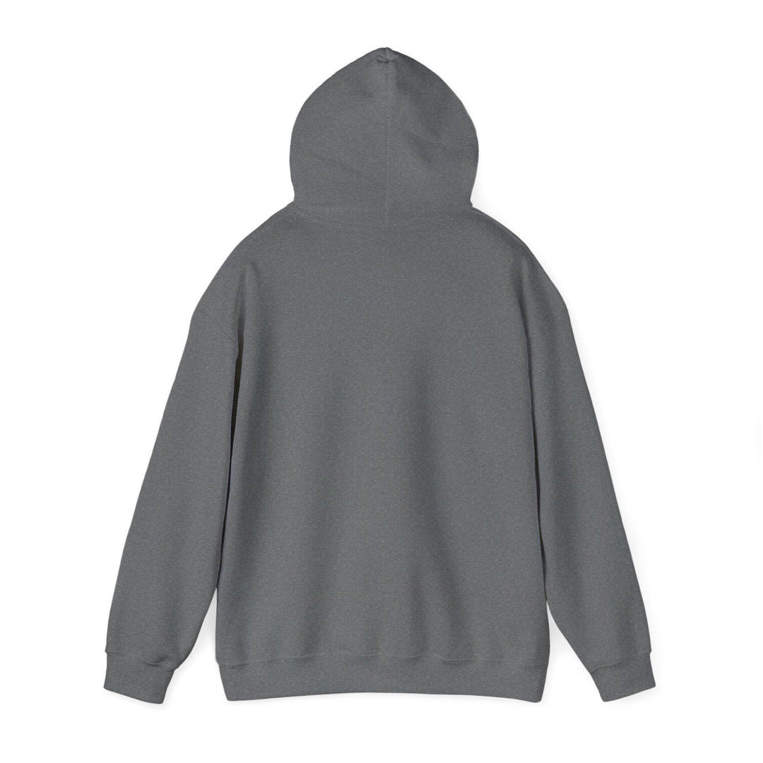 Dad’s Hooded Sweatshirt – Dad Level Unlocked Design