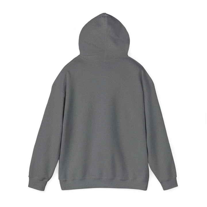 Dad’s Hooded Sweatshirt – Dad Level Unlocked Design