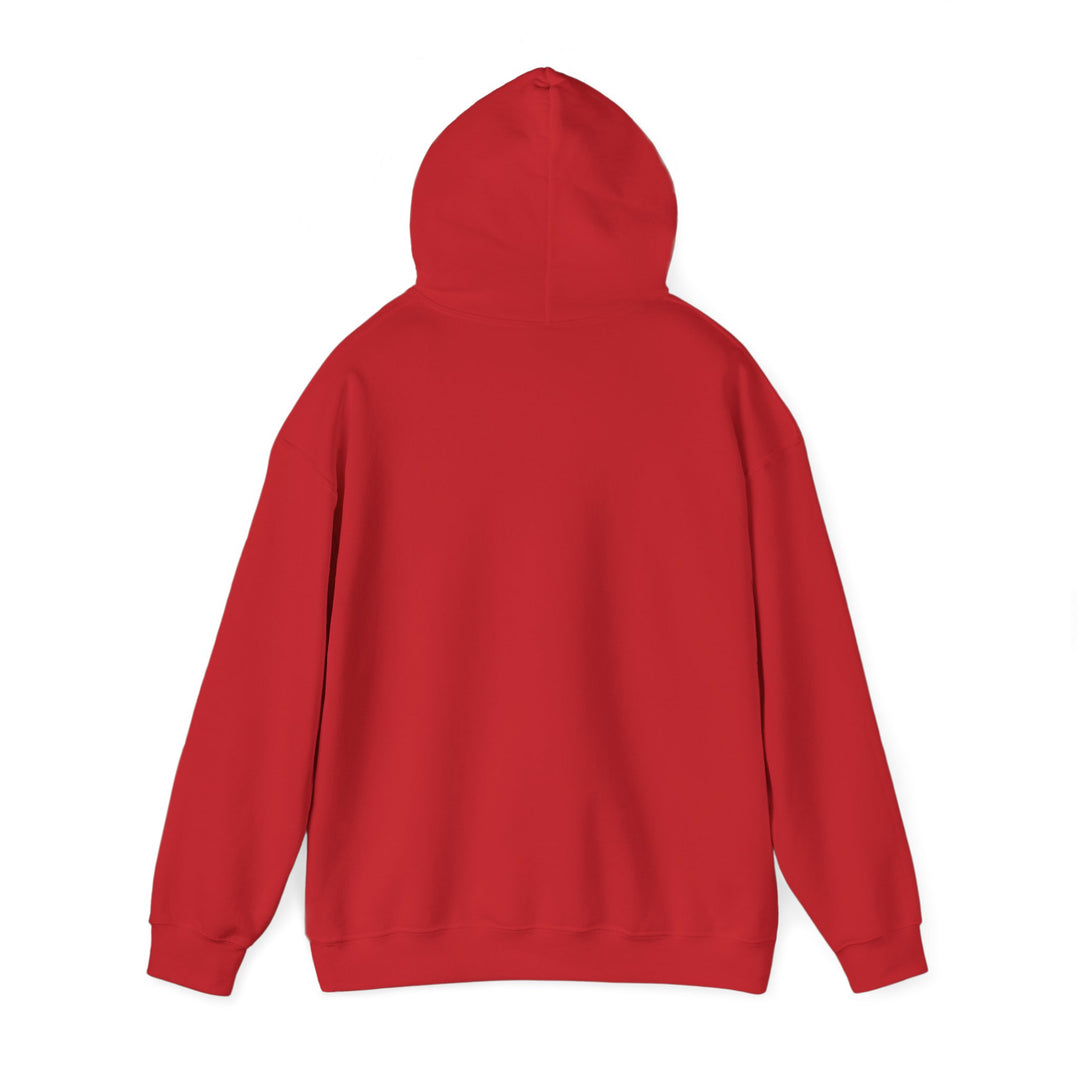 Dad’s Hooded Sweatshirt – Dad Level Unlocked Design