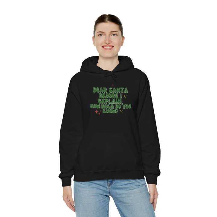 Dear Santa Funny Unisex Hooded Sweatshirt - Holiday Gift