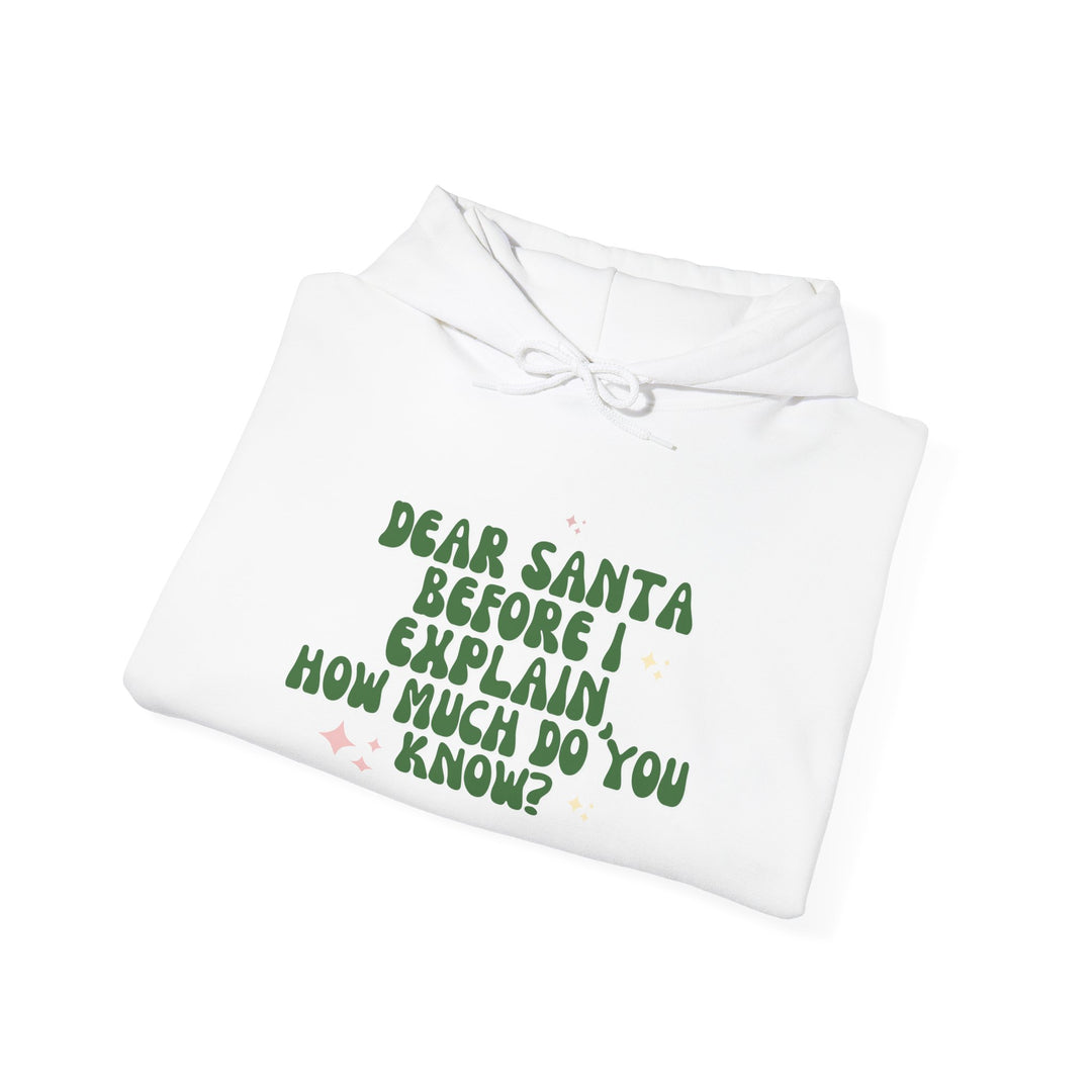 Dear Santa Funny Unisex Hooded Sweatshirt - Holiday Gift